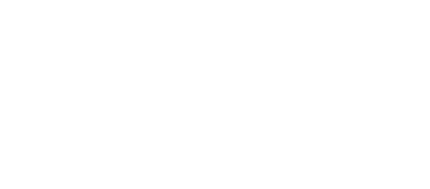 QLD White Logo
